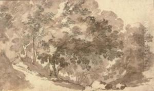 A Wooded Hillside by Johannes Episcopius