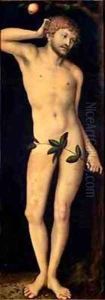 Adam 2 by Lucas The Elder Cranach