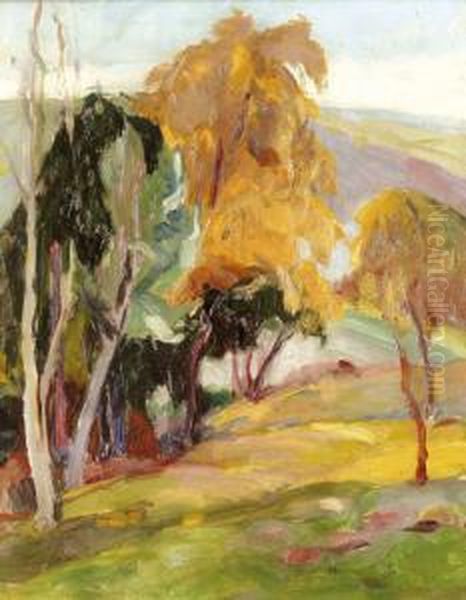 A Fenyofa - view 1