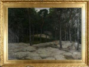 Skogslandskap by Elias Erdtman