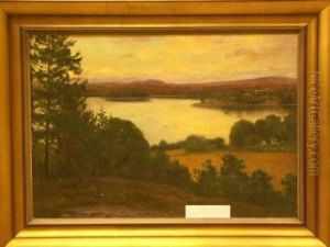 "vy Fr Brunsjon Vid Grenna".
