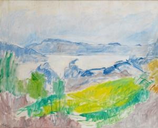 Fjordlandskap - view 1