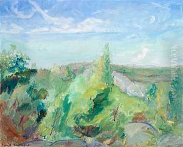 Sommerlandskap - view 1