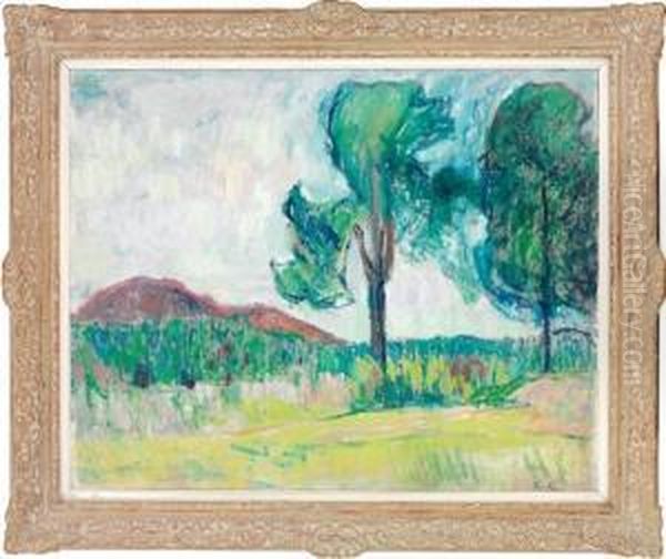 Fra Gausdal - view 1
