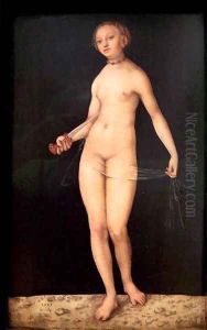 Lucretia 3