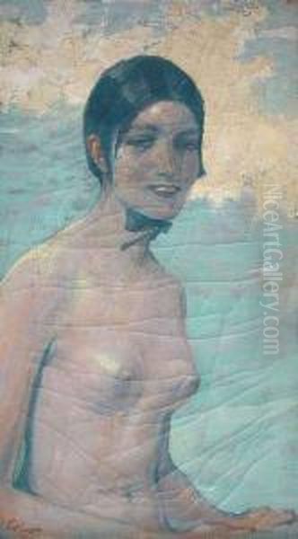 Female Nude. Oil On Canvas. Signed. - Craquele. Restored - view 1