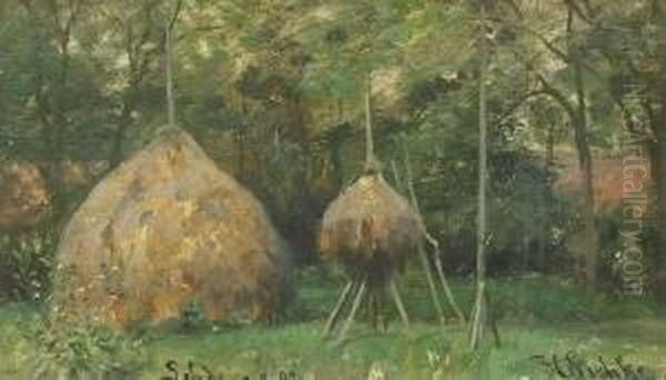 Landschaft Bei Lehde, Spreewald - view 1