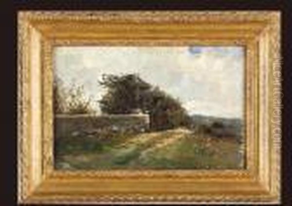 Landscape - view 1