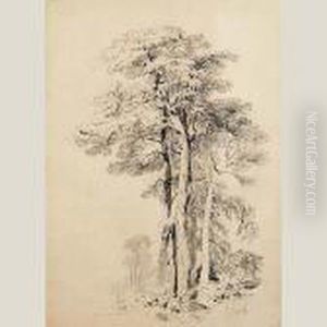 Arboles Arboles
