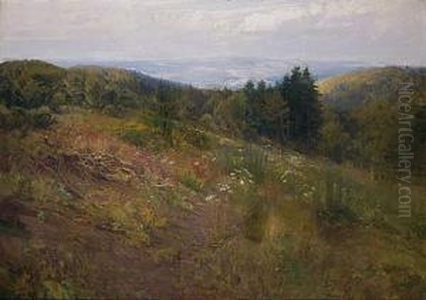 Pradera Con Flores En La Sierra De Madrid - view 1