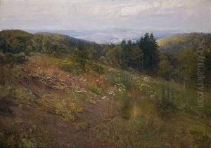 Pradera Con Flores En La Sierra De Madrid by Juan Espina Y Capo