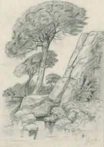 Paisaje Con Pinos