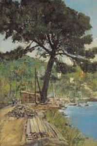 Veduta Costiera Con Pino A Santa Margherita Ligure