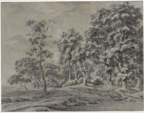A View Of A Forest With A Path Next To A Stream - view 1