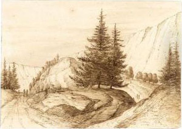 Mountainous Landscape With Pine Trees - view 1