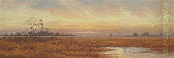 Marsh Atsunset - view 1