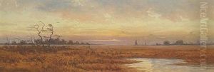 Marsh Atsunset Marsh Atsunset