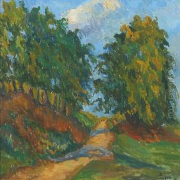 Autumn Landscape With Gravel Road - view 1