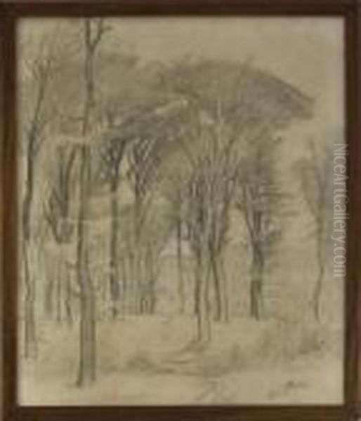 Studie Av Bokskog - view 1