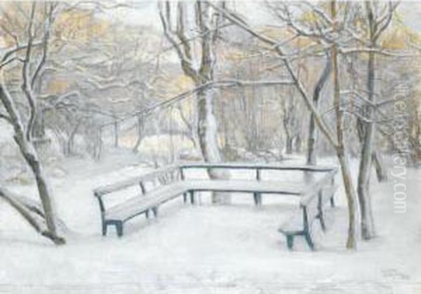 Nedsnogad Bank (snow Covered Bench) - view 1