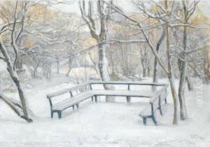 Nedsnogad Bank (snow Covered Bench)