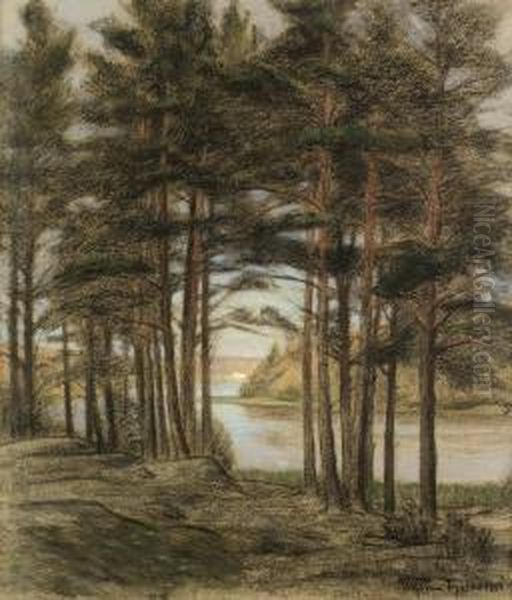 Skymning, Tyreso - view 1