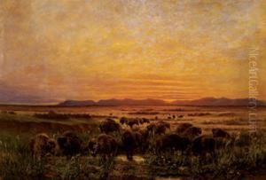 "grazing Buffalo At Sunset" By Eugene Frank by Frank Eugene