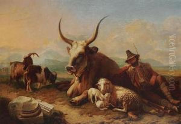 Resting Hunter With Bull, Sheep And Goats - view 1