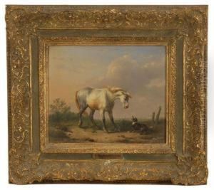 Standoff Between A White Horse And A Barking Dog