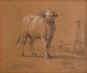 Young Bull And Rooster by Eugene Verboeckhoven