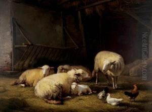 Sheep And Fowl In A Stable by Eugene Verboeckhoven