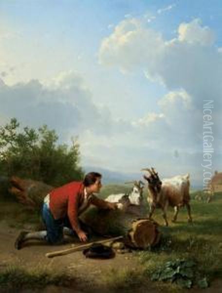 Tending The Goats - view 1