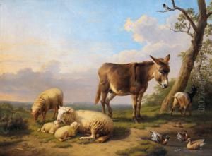 Paesaggio Con Asino