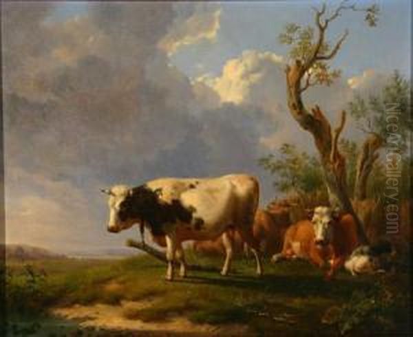 Cows And A Goat Resting In A Landscape - view 1
