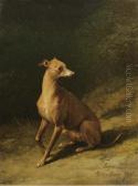 Portrait Of A Whippet - view 1