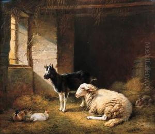 A Ewe, A Goat, A Rabbit And A Duck In A Barn - view 1