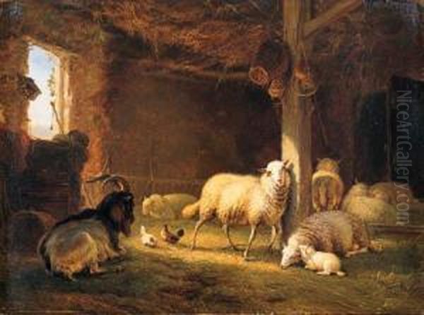 Sheep, Chicken And A Goat In A Barn - view 1