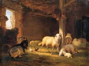 Sheep, Chicken And A Goat In A Barn by Eugene Verboeckhoven