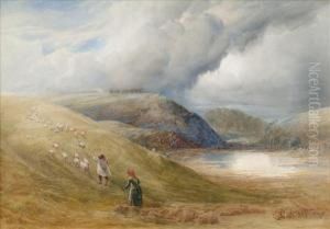 Directly The Flock
