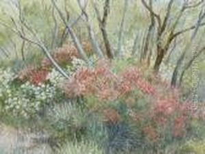 Bush Landscape