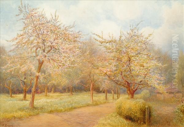 Trees In Blossom - view 1