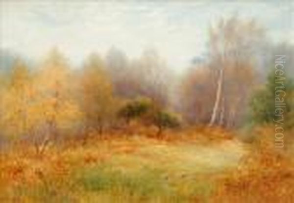 Rabbits In A Forest Clearing - view 1