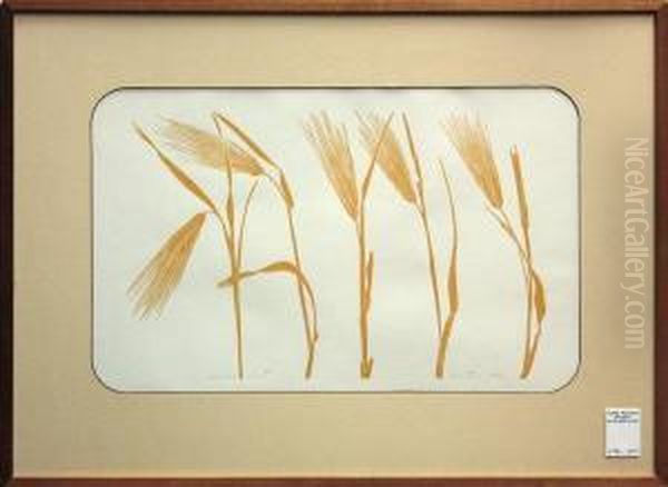 'wheat - view 1