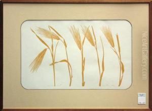 'wheat