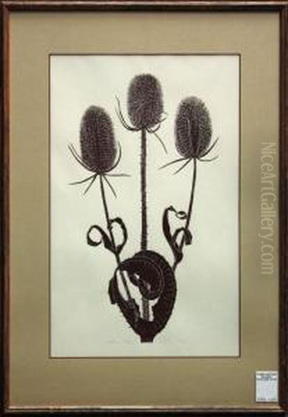 ''teasel,'' - view 1