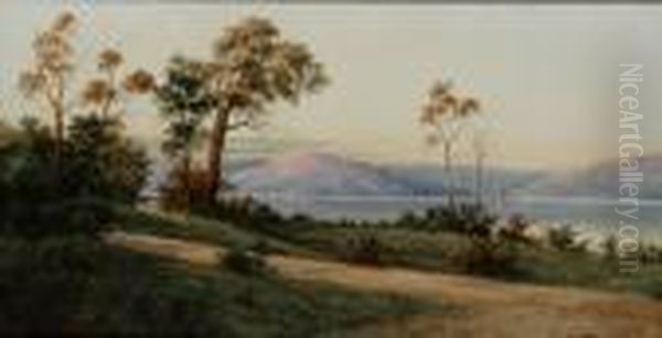 The Derwent River - view 1