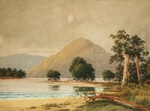 Tasmanian Landscape With Lake - view 1