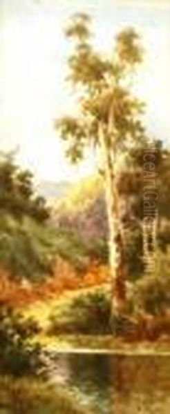 Omeca Bush - view 1