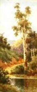 Omeca Bush