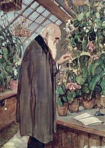 Charles Robert Darwin (1809-82) by John Maler Collier